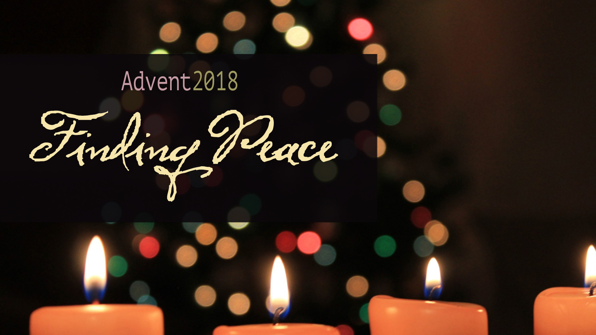 Featured image for “Advent 4: Peace”