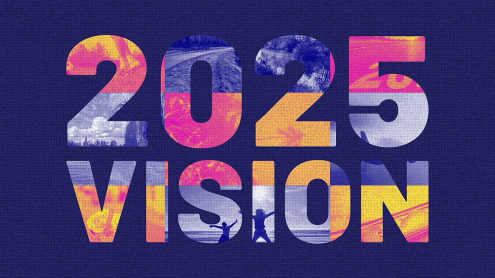 Vision 2025 - Purpose